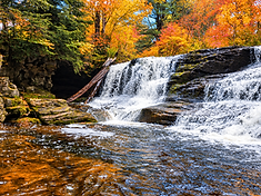 Upper falls tumbling over dark ledges in Pinchot State Forest
