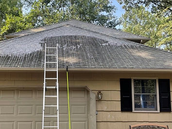 Roof Washing by Cascade Washing Specialist LLC