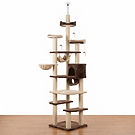 Floor-to-Ceiling Cat Climbing Tower