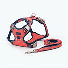 Reflective No-Pull Dog Harness Set