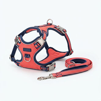 Reflective No-Pull Dog Harness Set