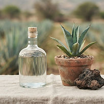 Tequila 100% agave orgánico