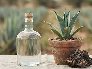 Tequila 100% agave orgánico