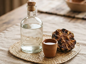 Mezcal artesanal espadín 45% Alc. Vol.