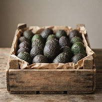 Aguacate Hass fresco de exportación