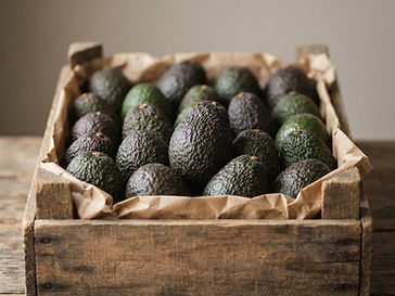 Aguacate Hass fresco de exportación
