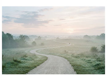 A quiet path at dawn