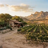 Casa de campo entre viñedos (renta mensual)