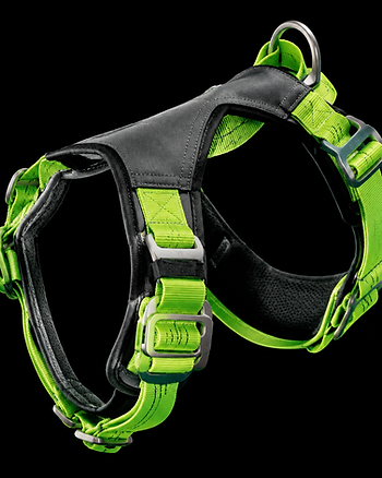 Vector Harness