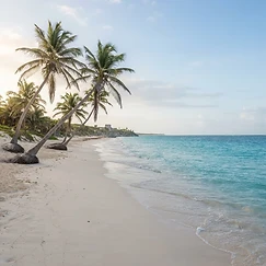 Yoga al amanecer frente al Mar Caribe