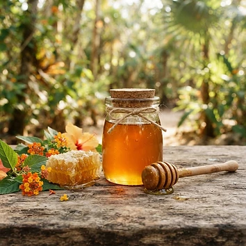 Miel de la selva maya de Tulum, frasco de 500 g