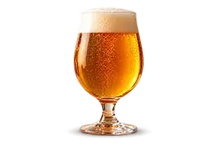 Bière artisanale