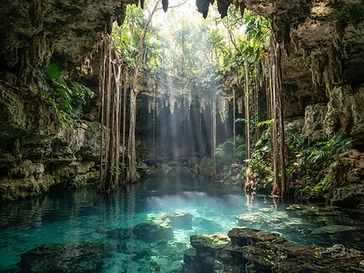 Cenotes y naturaleza