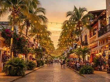 Local comercial en renta sobre la Quinta Avenida