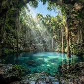 Ruta de cenotes con guía local