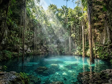 Cenotes
