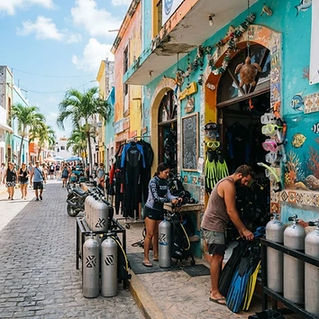 Servicio de guía certificado de la isla