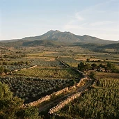 Ruta del maguey y las pulquerías de Tlaxco