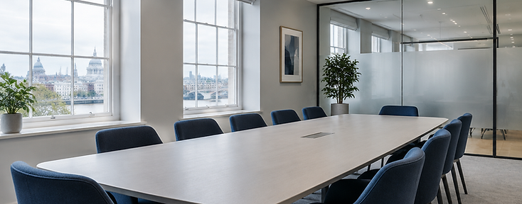 Light-filled modern meeting room used by the Trifid Solutions team