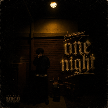 one night cover art, darneezy