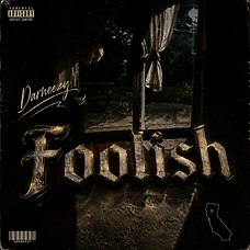 foolish cover art, darneezy