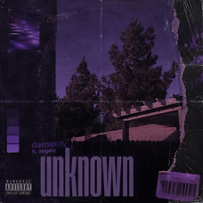 unknown cover art, darneezy