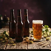 Cerveza artesanal queretana, six pack