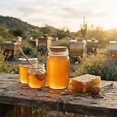Miel de abeja de Baja California — 1 litro