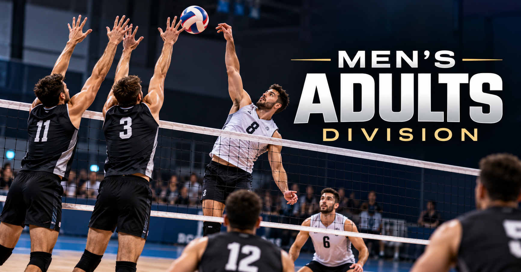 Utah Premier Volleyball League — Men's Adults Division