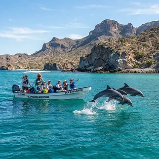 Tour Bahía de Kino: Isla Tiburón y avistamiento de delfines