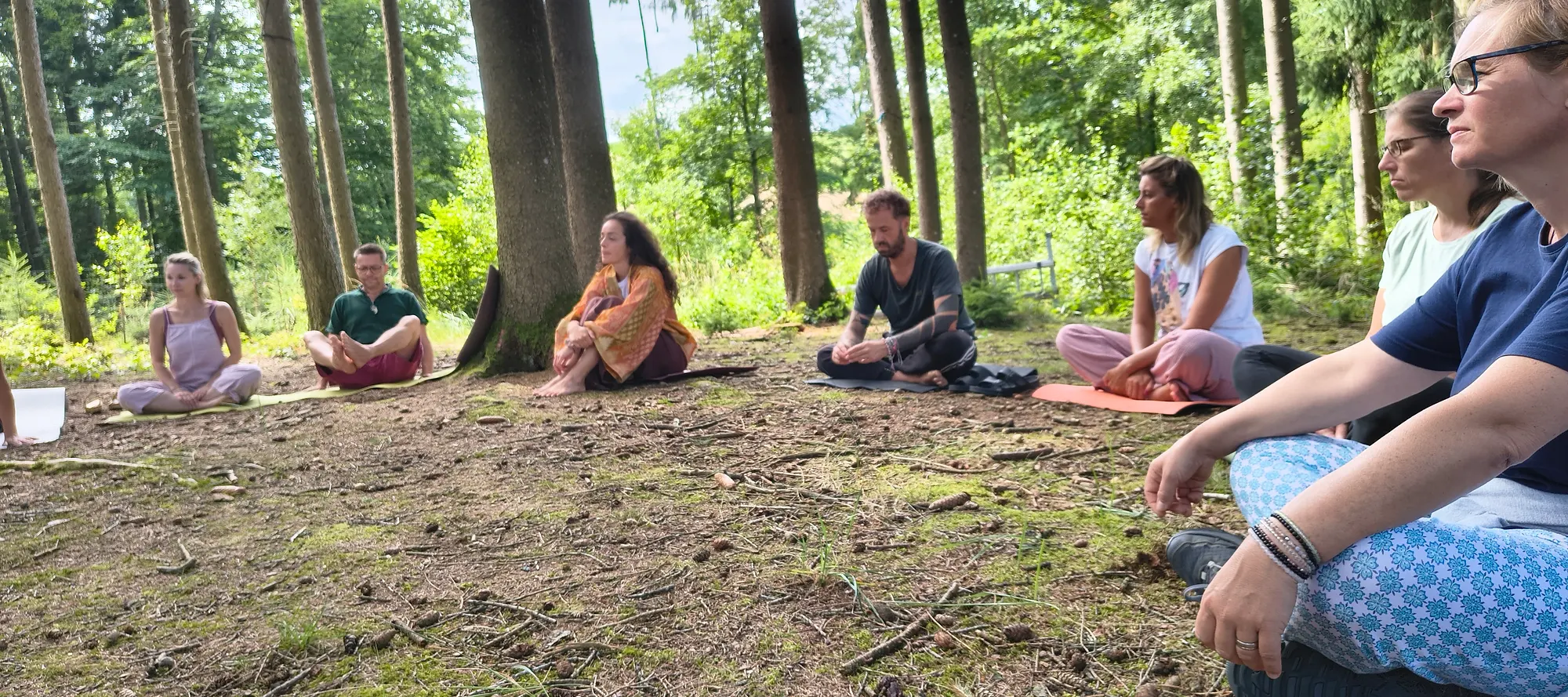 Gruppe in Meditation im Wald