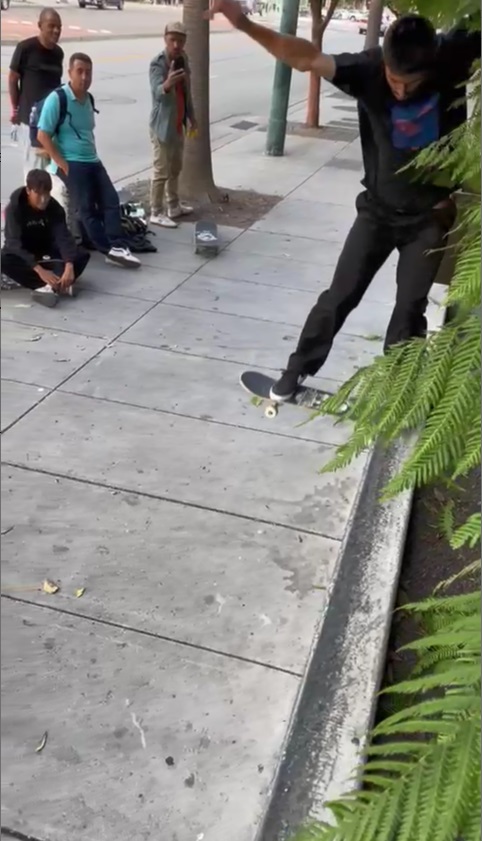 Joao Rosa, LIP Skateboards team rider