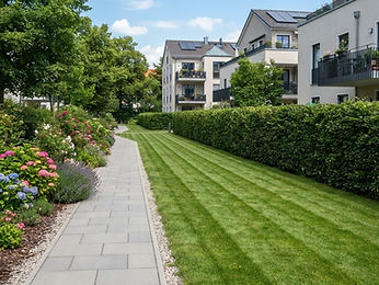 Gepflegte Grünanlage mit getrimmter Hecke und gemähtem Rasen