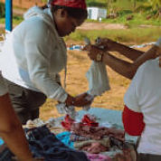 Jornada en Caño Mamey