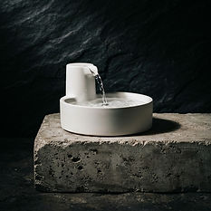 Automatic Pet Water Fountain — Paws