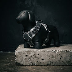 Reflective Padded Dog Harness — Paws