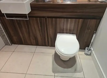 Vanity with a timber worktop and wall-hung basin alongside a back-to-wall toilet