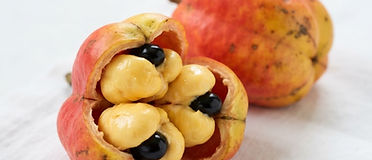 Ackee (fresh, cleaned)