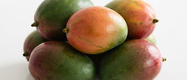 Julie Mango