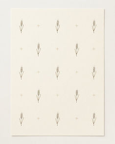 Country Paper recipe background