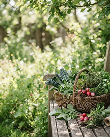 Garden Harvest background