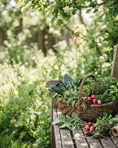 Garden Harvest recipe background