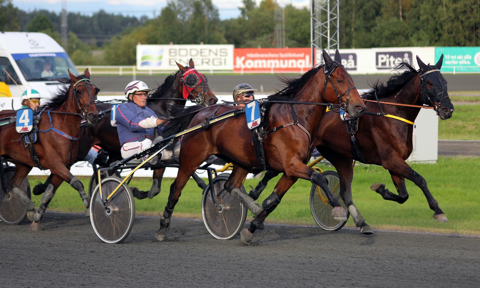 Travhästar på upploppet