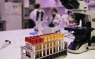 Micronutrient Test Cost Guide for SpectraCell Micronutrient Testing