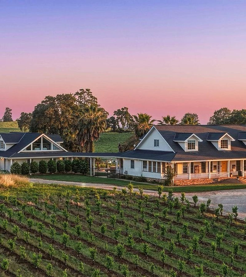 A farmhouse estate among vineyard rows in the valley at sunset