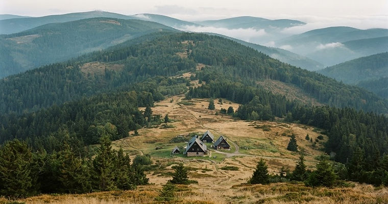 Krkonošské boudy v horské louce obklopené smrkovým lesem