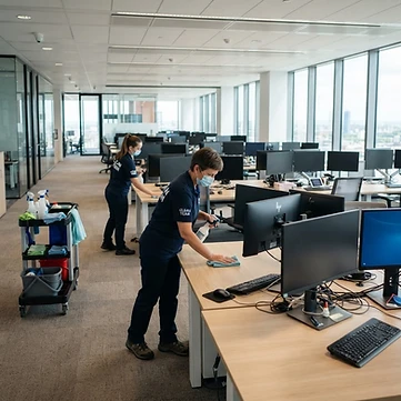 Desk & Surface Cleaning