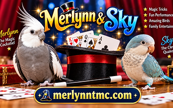 Welcoming Sky The Quaker Parrot: A New Co-Star for Leigh Hotz's Magic Shows