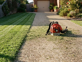 Whipper Snipping & Edging