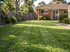 Lawn Mowing